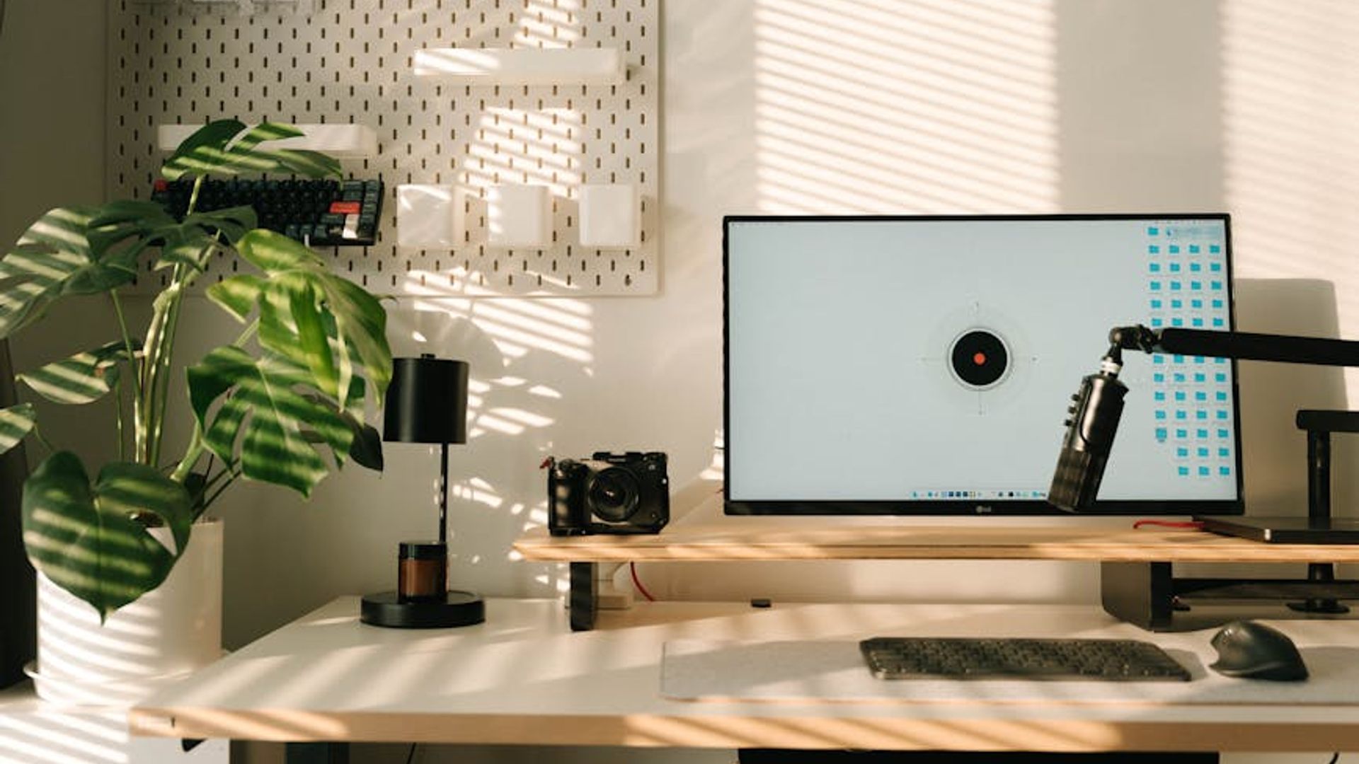Clean organized workspace with natural sunlight and plants